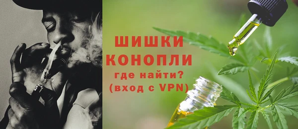 Альфа ПВП Гусев
