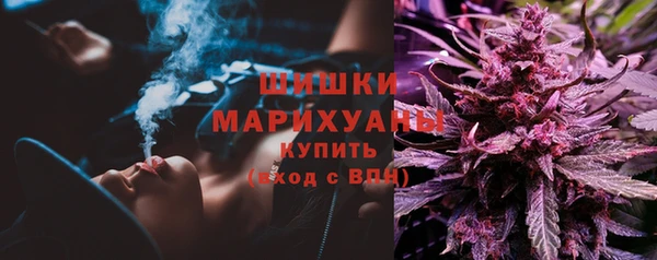 Альфа ПВП Гусев