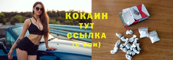 МДМА Горняк