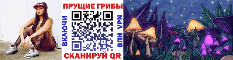 Галлюциногенные грибы Cubensis  darknet как зайти  Емва  где купить наркотик 